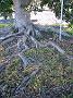 fish-coop-taree 011